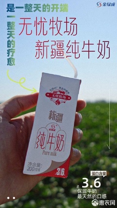 新疆直发~新疆克拉玛依金绿成全脂纯牛奶 从优质奶源到3.6g蛋白的诞生之旅